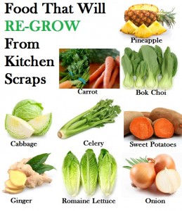 food-that-will-regrow