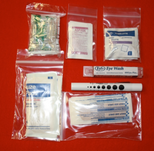  Pictured are a CPR Shield, regular strength Aspirin, Moist Towelettes, Sterile Water, Penlight, Adhesive Bandages, and Gauze Pads.  They range in price from approximately $1 to $5 each.