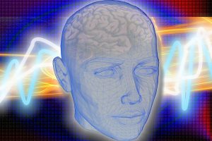 Pixabay, CC0 Public Domain, https://pixabay.com/en/head-brain-radiology-medical-human-1058432/