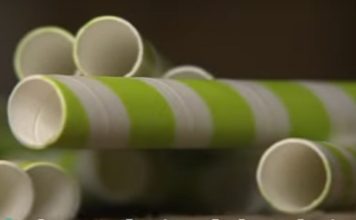 Green Debacle: New McDonald’s Paper Straws a Bust