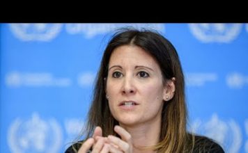 Coronavirus Came From Bats And Can Infect These Common Pets