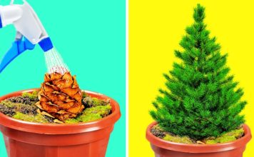 27 USEFUL HACKS TO GROW YOUR OWN GARDEN