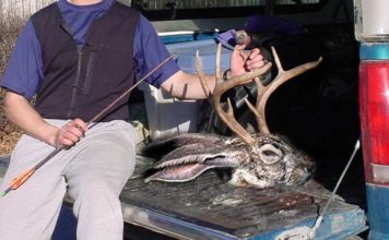 Wow! That’s a monster Jackelope!