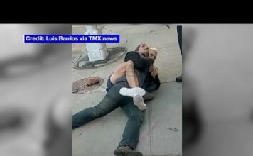 Man uses martial arts to thwart attempted kidnapping in NYC park